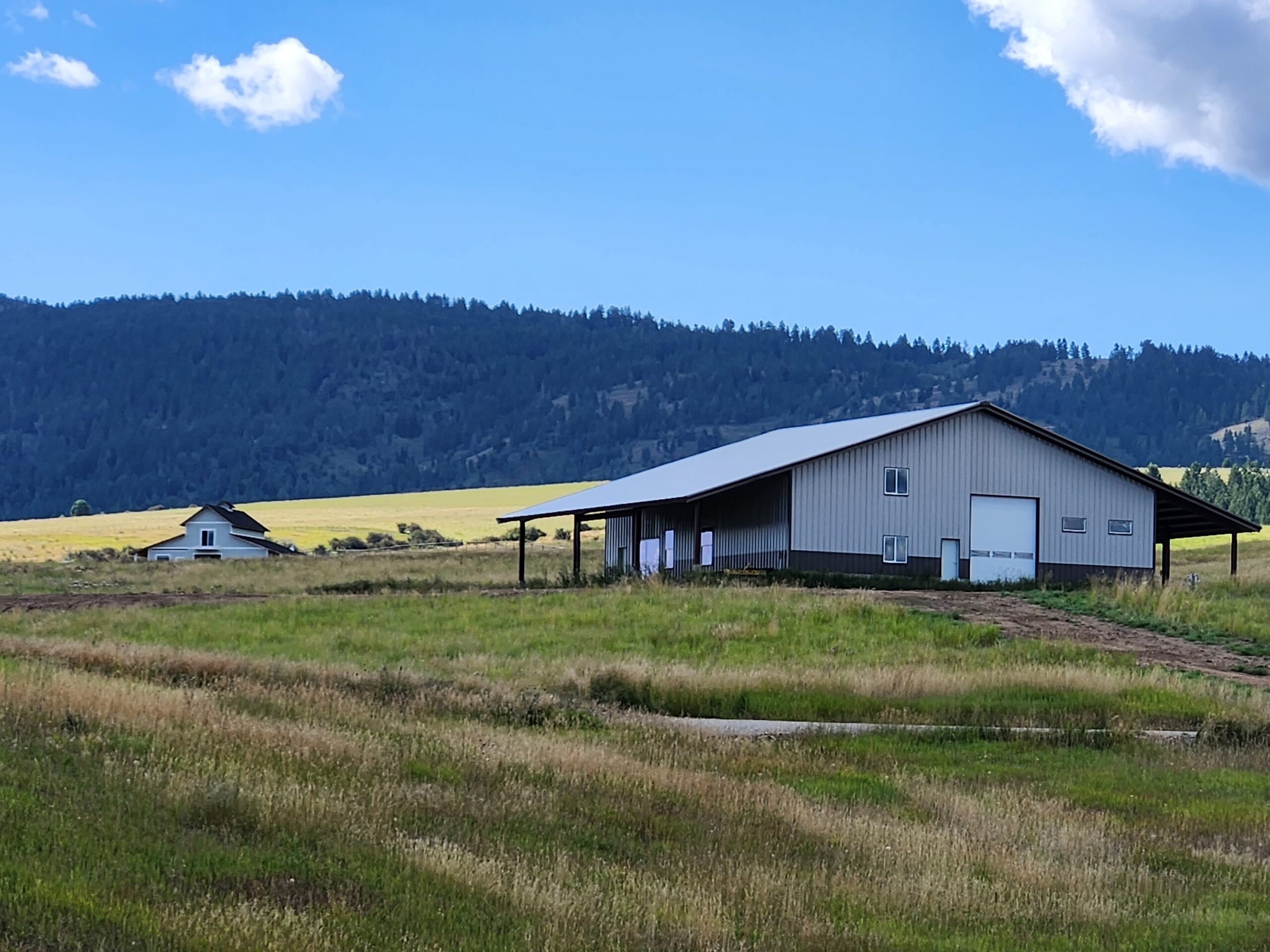 Steel shop house building